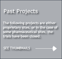 Thumbnails of Past Projects Follow